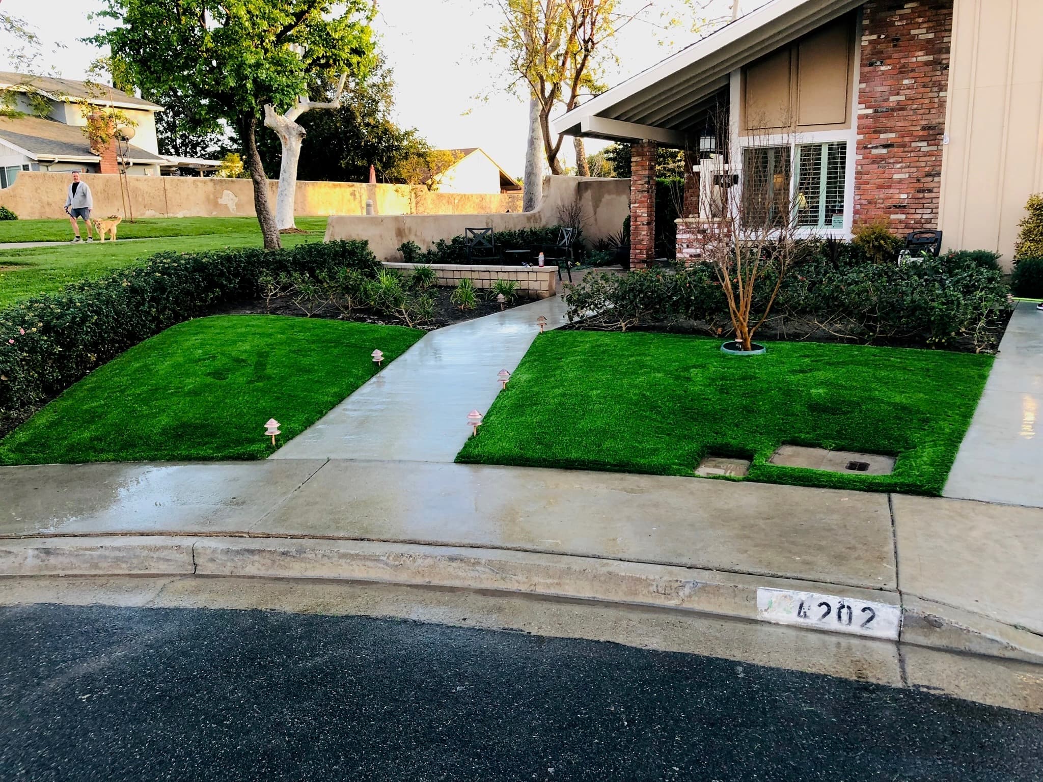 Irvine front yard SYNLawn Lush install, 950 square feet